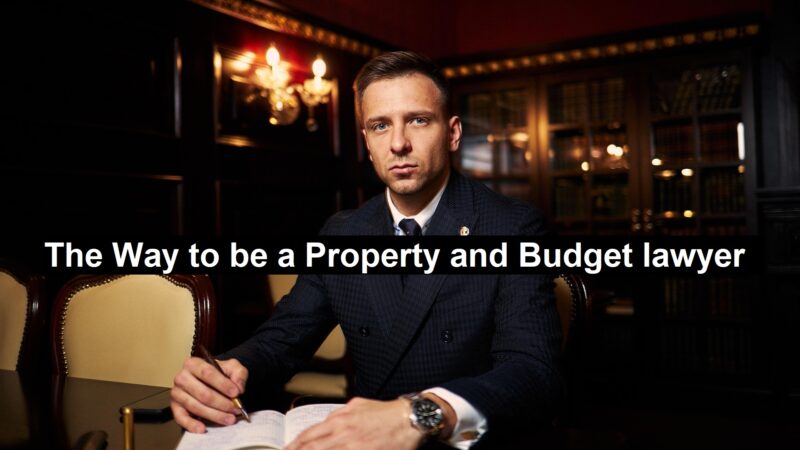 Budget lawyer 